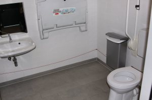Mindervalide invalide toilet automatische deur deurautomaat oplossing